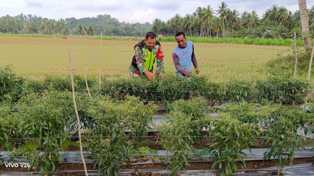 Untuk menciptakan keamanan, ketertiban ketentraman warga masyarakat di wilayah binaan. Babinsa Posramil Peusangan Siblah Krueng ,Kodim 0111/Bireuen Serma Mulyadi terus bersinergi dengan seluruh elemen masyarakat.