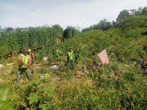 Serma Suhermanto Babinsa Koramil 18/Bda Kodim 0104/Aceh Timur Dukung Petani Jahe Wujudkan Ketahanan Pangan