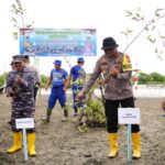 Polres Pidie Tanam Ratusan Pohon Mangrove