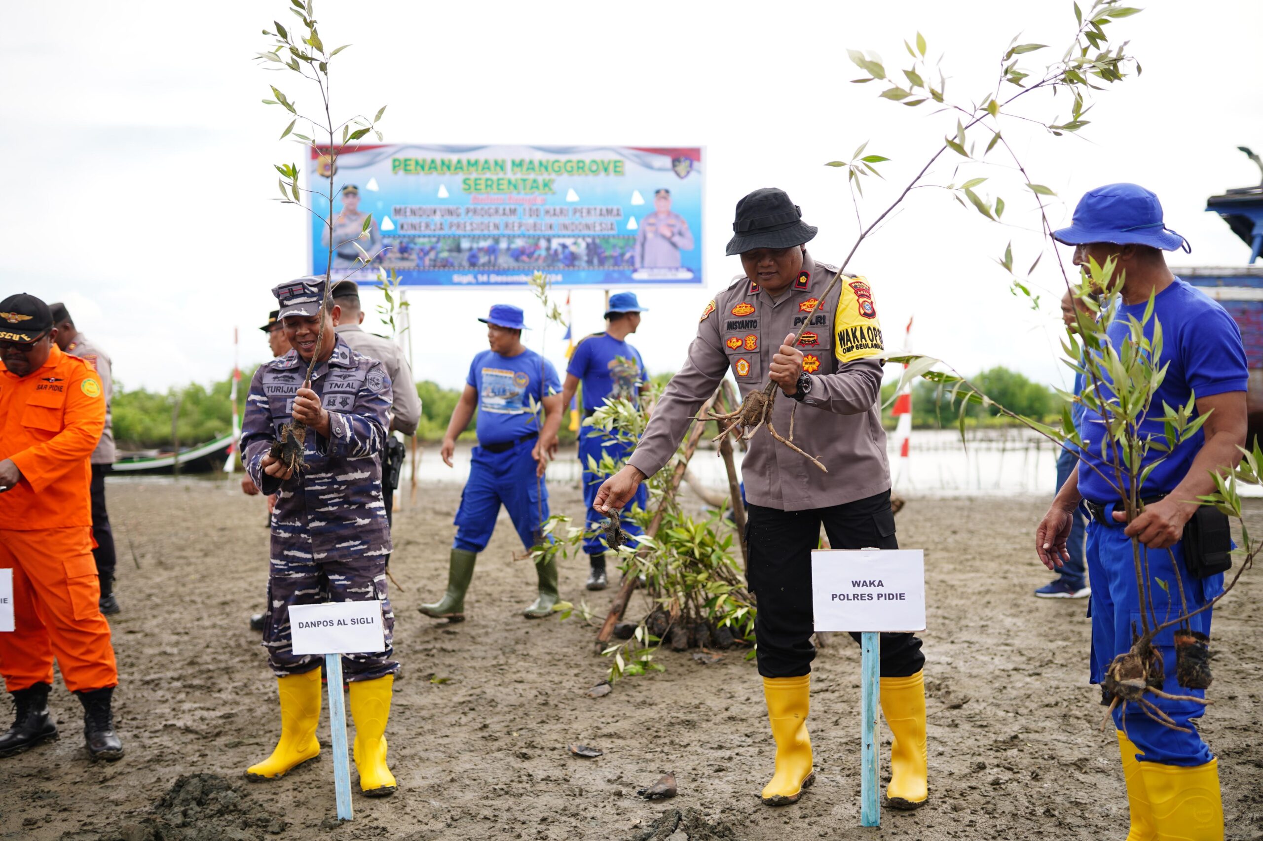 Polres Pidie Tanam Ratusan Pohon Mangrove