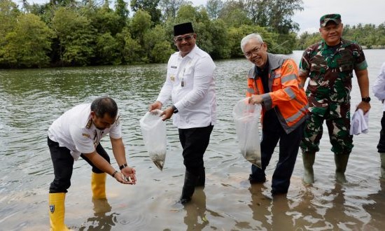 Penjabat Gubernur Aceh, Dr. H. Safrizal ZA, M.Si, melepas ribuan calon induk ikan kakap putih di Krueng Raba