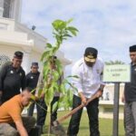 Pj Gubernur Safrizal dan Unsur Forkopimda Tanam Pohon Jeumpa dan Seulanga di Komplek Masjid Raya Baiturrahman dan Dua Kampus Jantong Hate