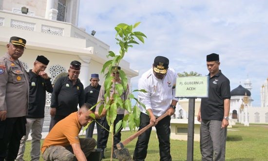 Pj Gubernur Safrizal dan Unsur Forkopimda Tanam Pohon Jeumpa dan Seulanga di Komplek Masjid Raya Baiturrahman dan Dua Kampus Jantong Hate