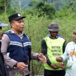 Kisah inspiratif personel Polres Nagan Raya, Bripka Adi Syafnur Arisal patut diapresiasi karena mengubah lahan ganja menjadi lahan palawija