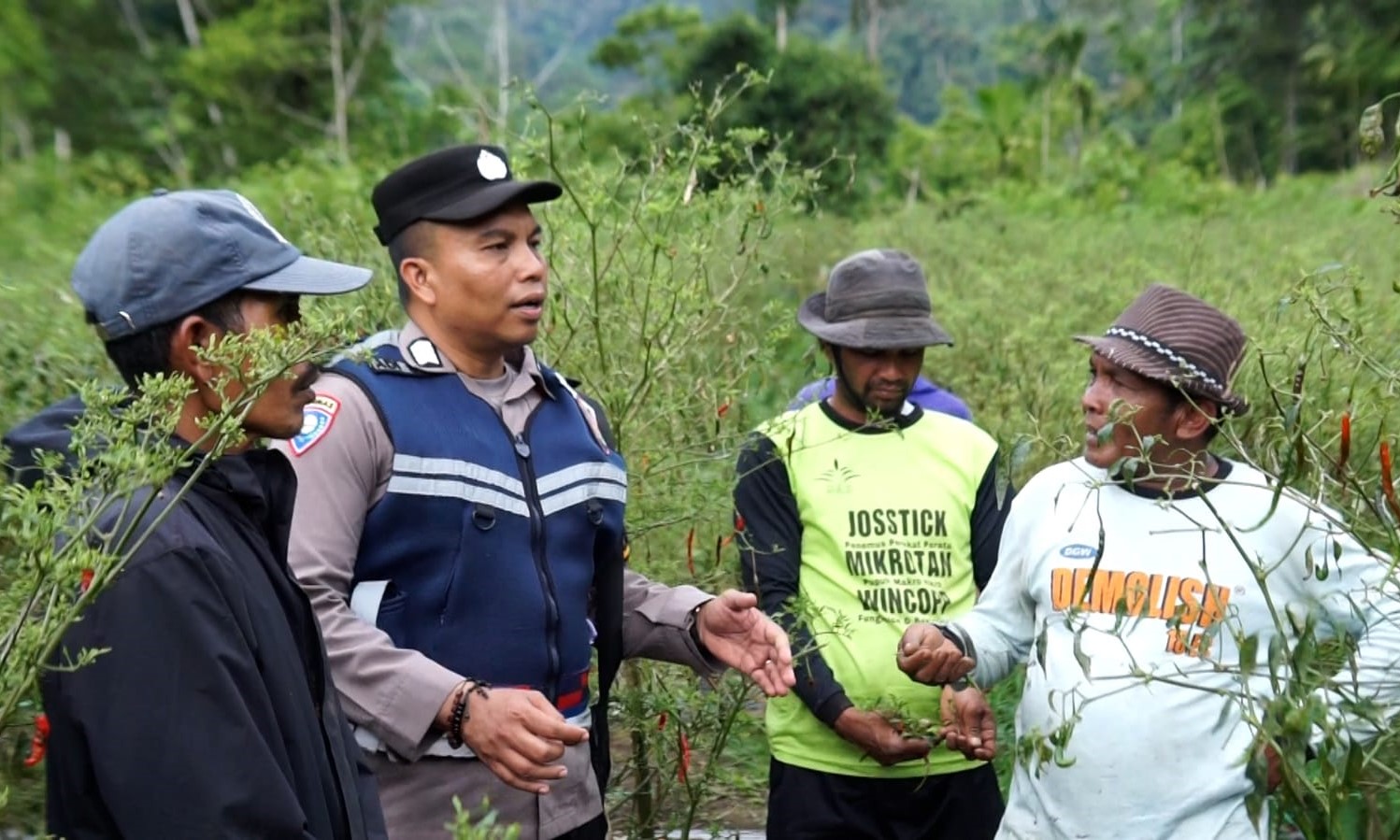 Kisah inspiratif personel Polres Nagan Raya, Bripka Adi Syafnur Arisal patut diapresiasi karena mengubah lahan ganja menjadi lahan palawija