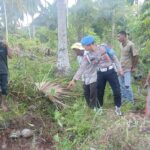 Polisi evakuasi kerangka manusia di lahan kebun kelapa temuan dari seorang warga di Desa Geulanggang Meurak, Kec. Peureulak Timur, Aceh Timur