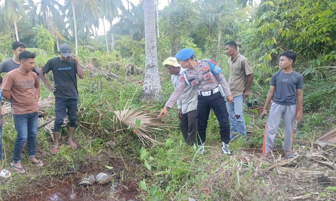 Polisi evakuasi kerangka manusia di lahan kebun kelapa temuan dari seorang warga di Desa Geulanggang Meurak, Kec. Peureulak Timur, Aceh Timur