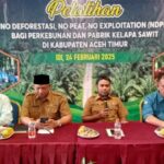 Pemkab Aceh Timur bekerjasama dengan Satgas PUPL dan FKL menggelar kegiatan Pelatihan NDPE Bagi Perusahaan Perkebunan dan Pabrik Kelapa Sawit