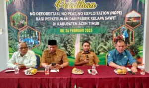 Pemkab Aceh Timur bekerjasama dengan Satgas PUPL dan FKL menggelar kegiatan Pelatihan NDPE Bagi Perusahaan Perkebunan dan Pabrik Kelapa Sawit