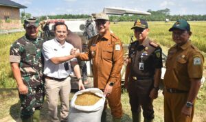 Bupati Aceh Tamiang, Armia Pahmi MH bersama Forkopimda menghadiri kegiatan serap gabah (sergab) di Lahan Persawahan Kampung Air Tenang