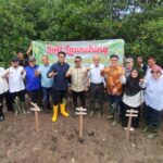 Wakil Walikota Langsa Muhammad Haikal Alfisyahrin dan Forest For Life - Indonesia melakukan Penanaman Manggrove Bersama