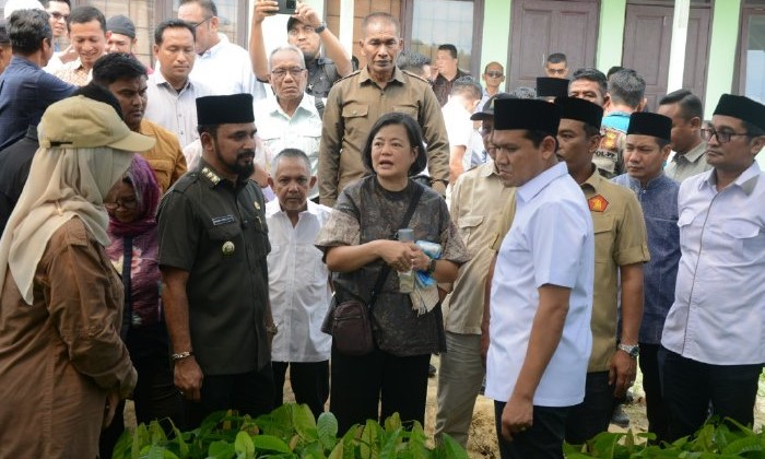 Bupati Aceh Timur, Iskandar Usman Al-Farlaky menghadiri peresmian Development Center Kakao yang berlokasi di Kecamatan Birem Bayeun