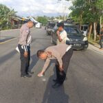 Setelah melakukan pengejaran selama tujuh hari penuh, personel Satlantas Polres Bireuen berhasil menangkap pelaku tabrak lari