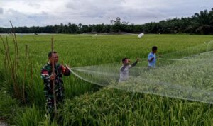 WhatsApp Image 2025-10-29 at 10.39.01