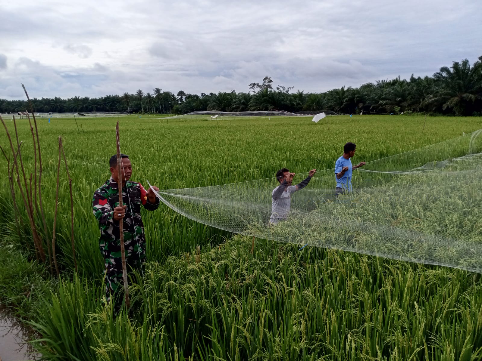 WhatsApp Image 2025-10-29 at 10.39.01