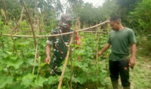 WhatsApp Image 2025-11-01 at 09.32.35 (2)