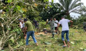 WhatsApp Image 2025-11-04 at 11.39.37