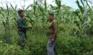 WhatsApp Image 2025-11-06 at 09.58.01 (1)