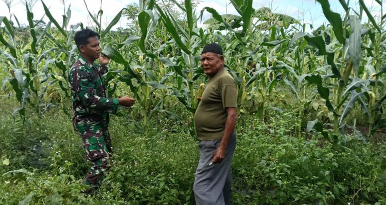 WhatsApp Image 2025-11-06 at 09.58.01 (1)