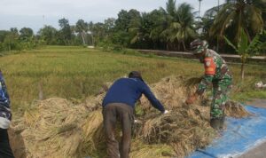 WhatsApp Image 2025-11-07 at 10.29.52 (2)