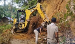 Bupati Aceh Timur, Iskandar Usman Al-Farlaky menginstruksikan pengerahan alat berat untuk membantu penanganan tanah longsor